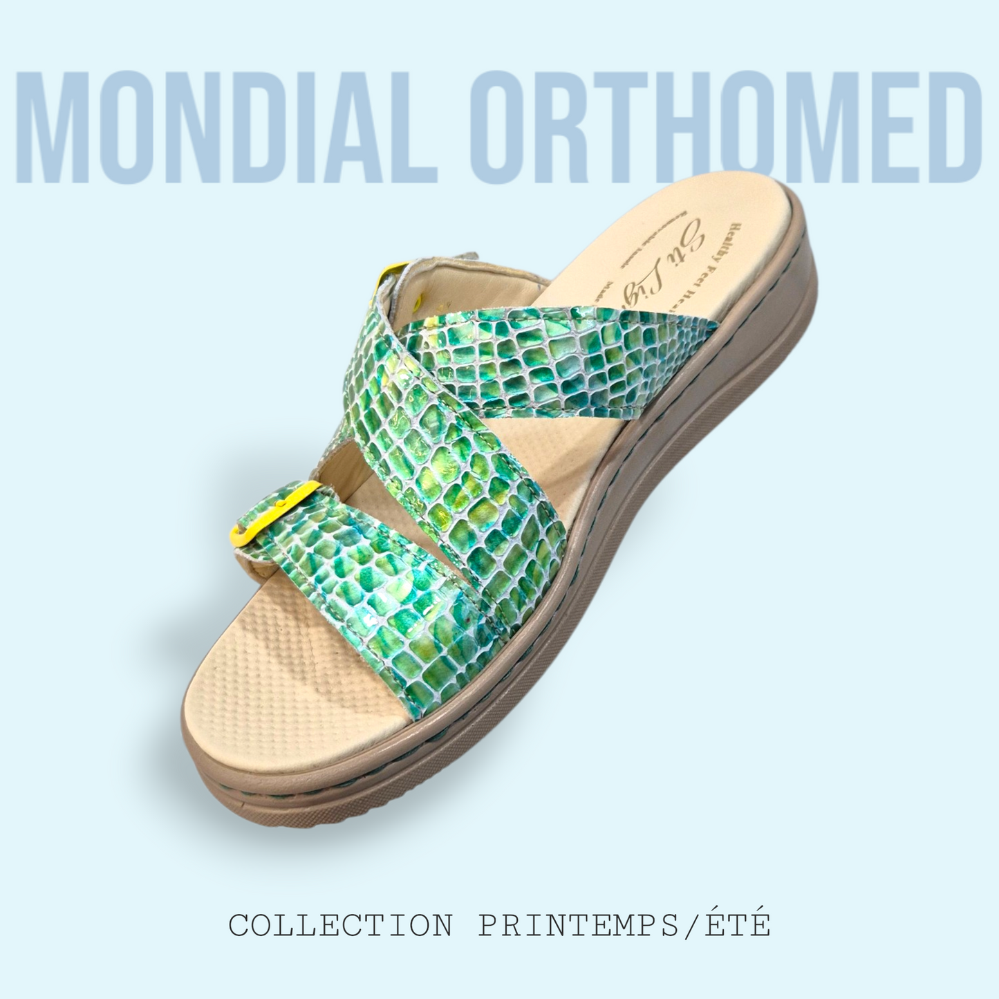 Claquette Femme Vert Croco STI AP05