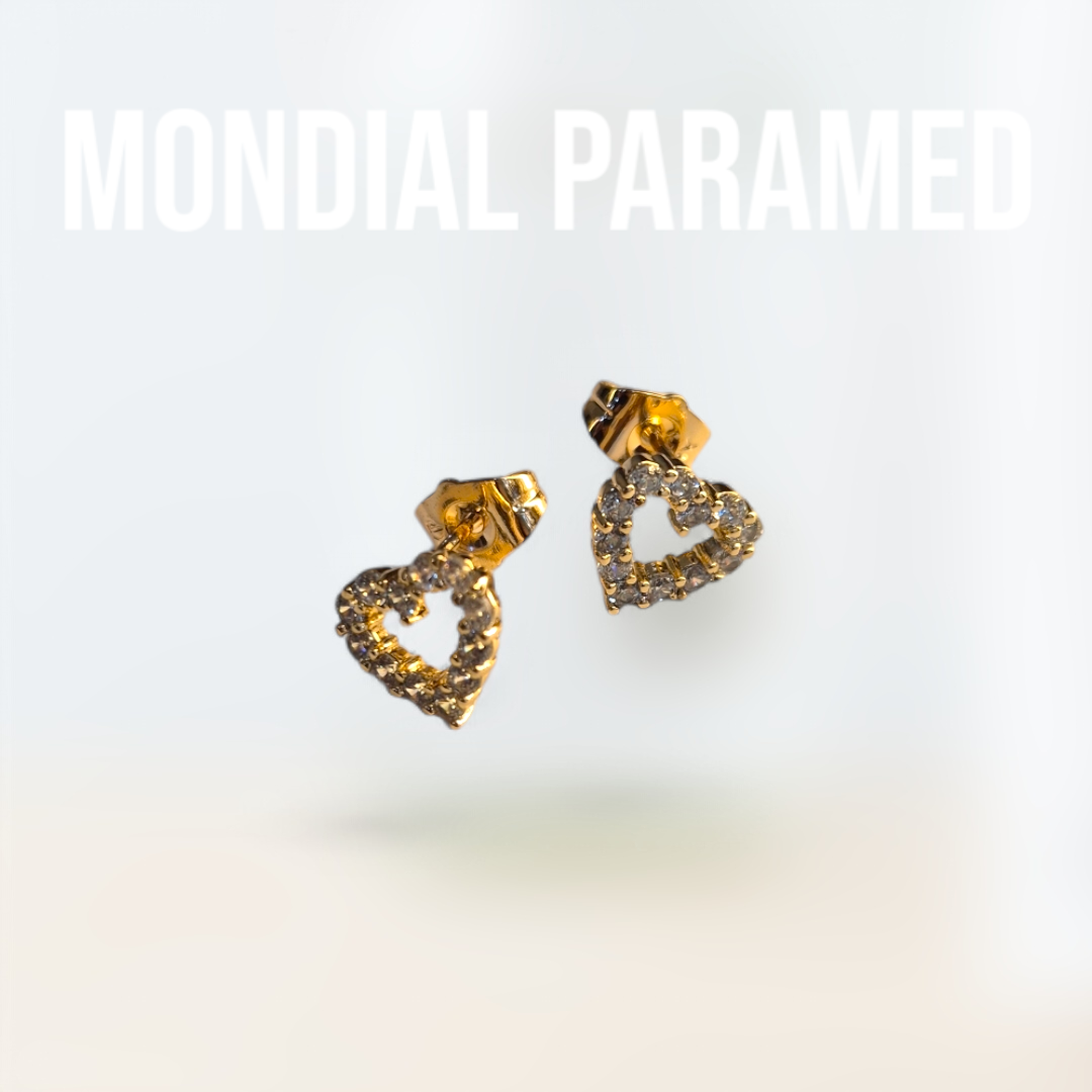 Boucle d'Oreilles #64