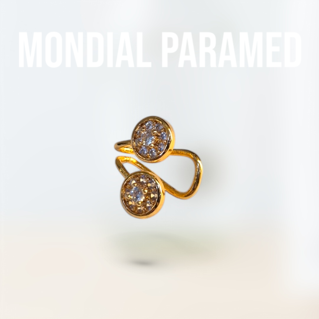 Boucle d'Oreilles #88