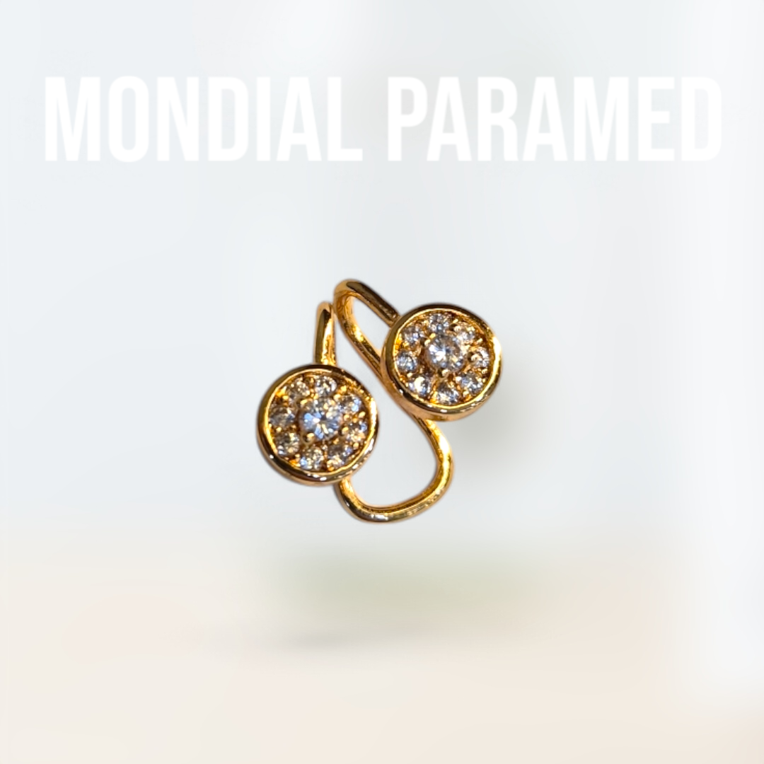 Boucle d'Oreilles #88