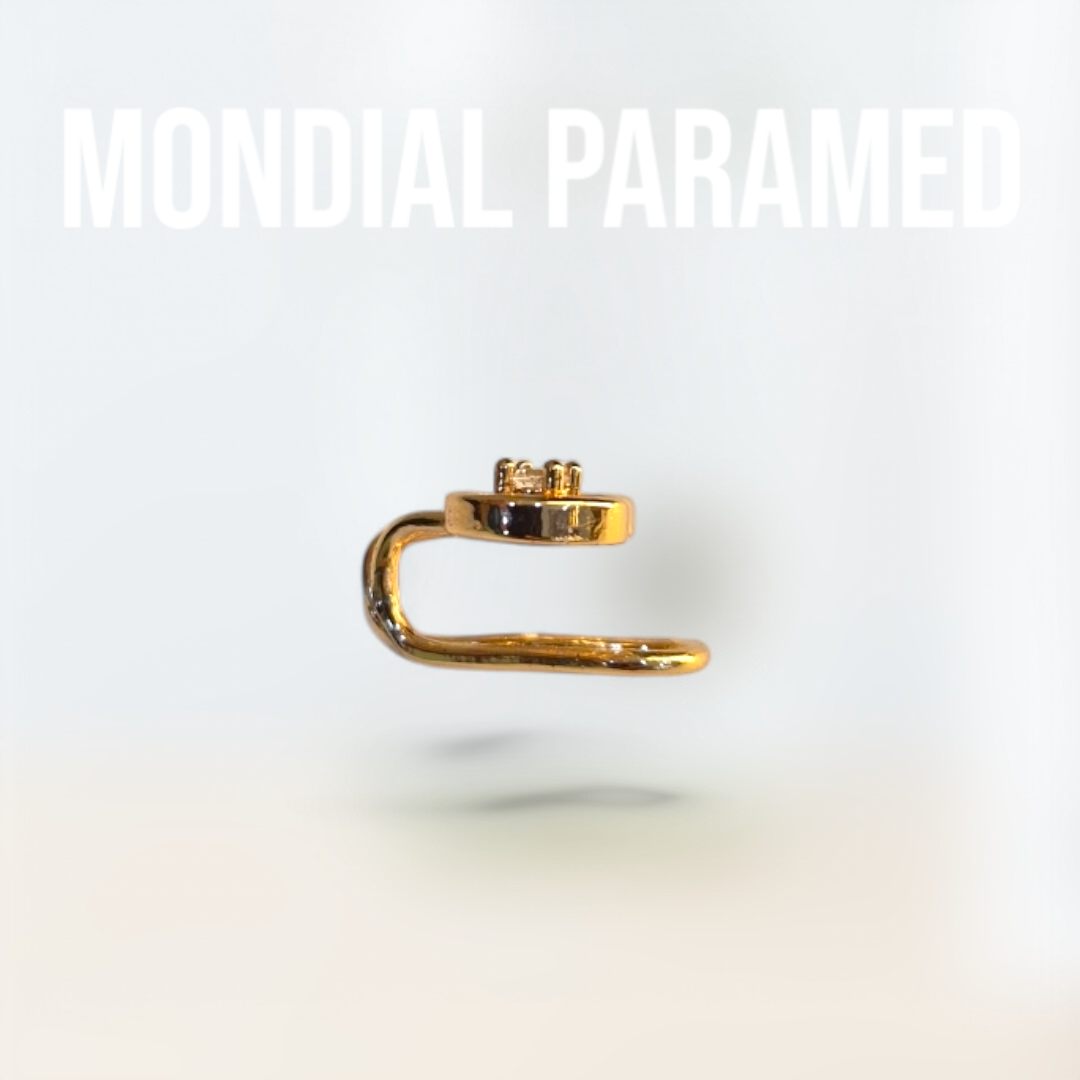 Boucle d'Oreilles #88