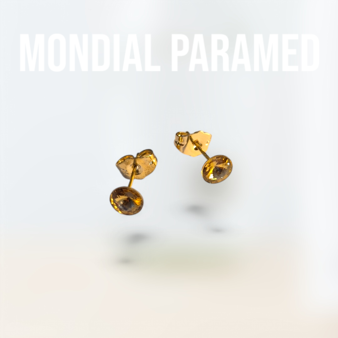 Boucle d'Oreilles #50