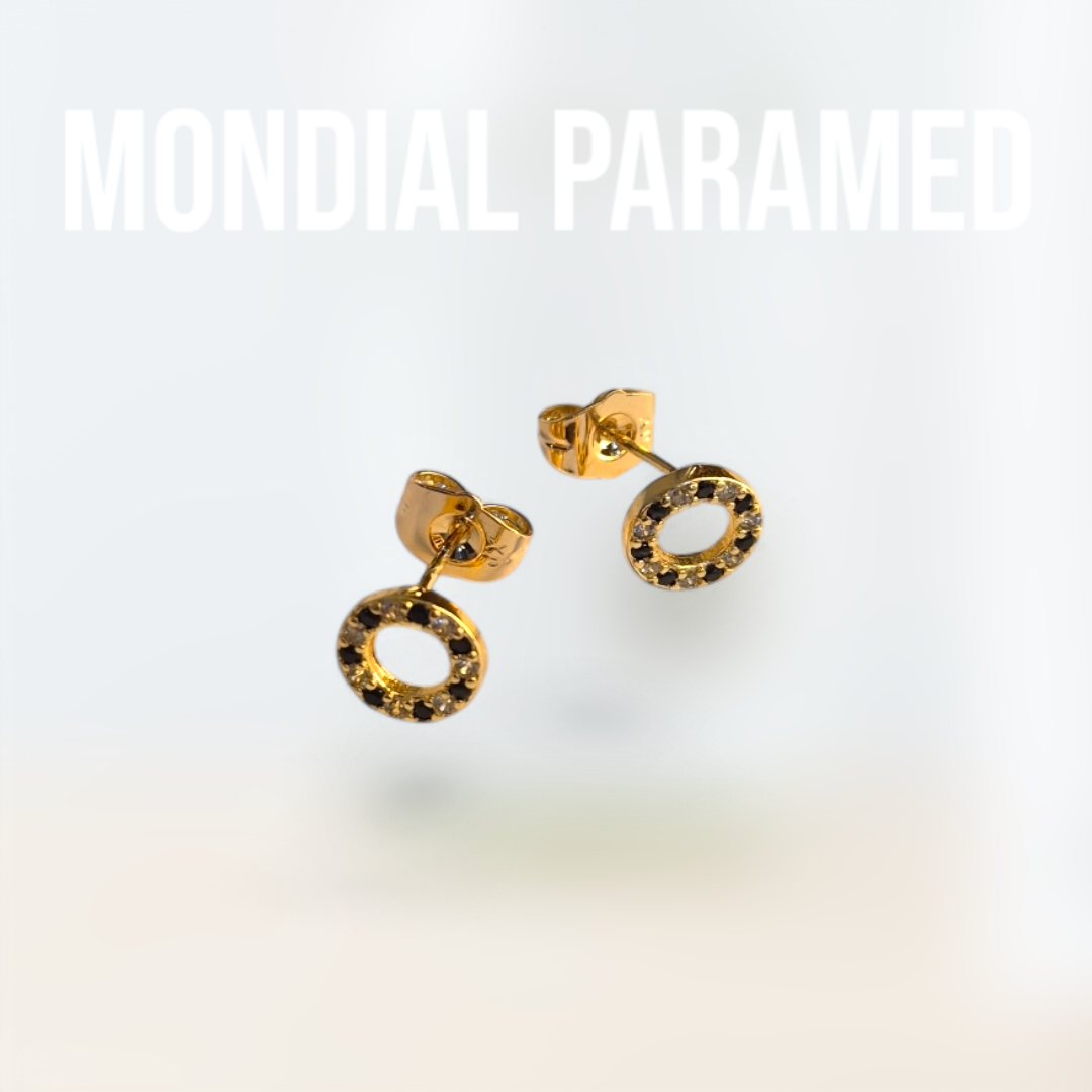 Boucle d'Oreilles #72