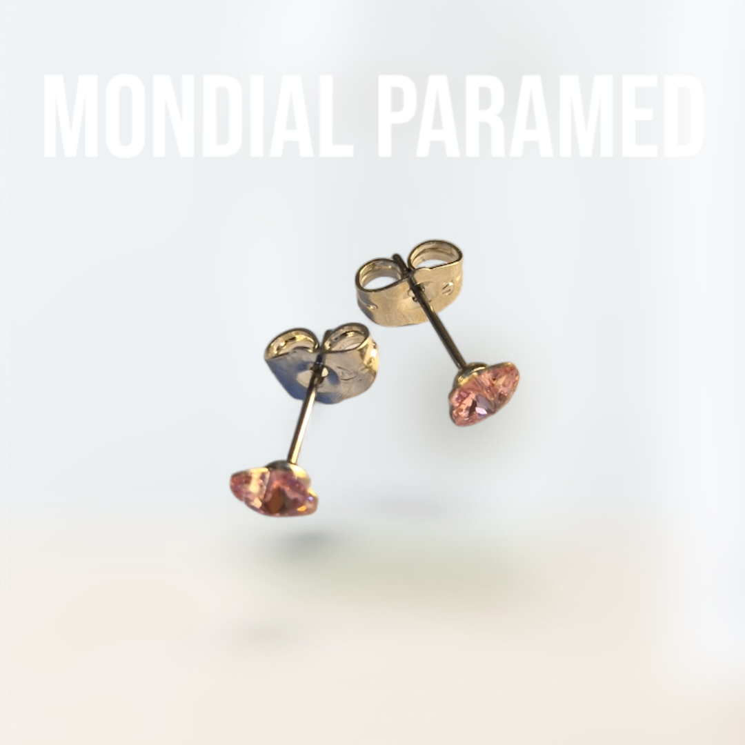 Boucle d'Oreilles #52