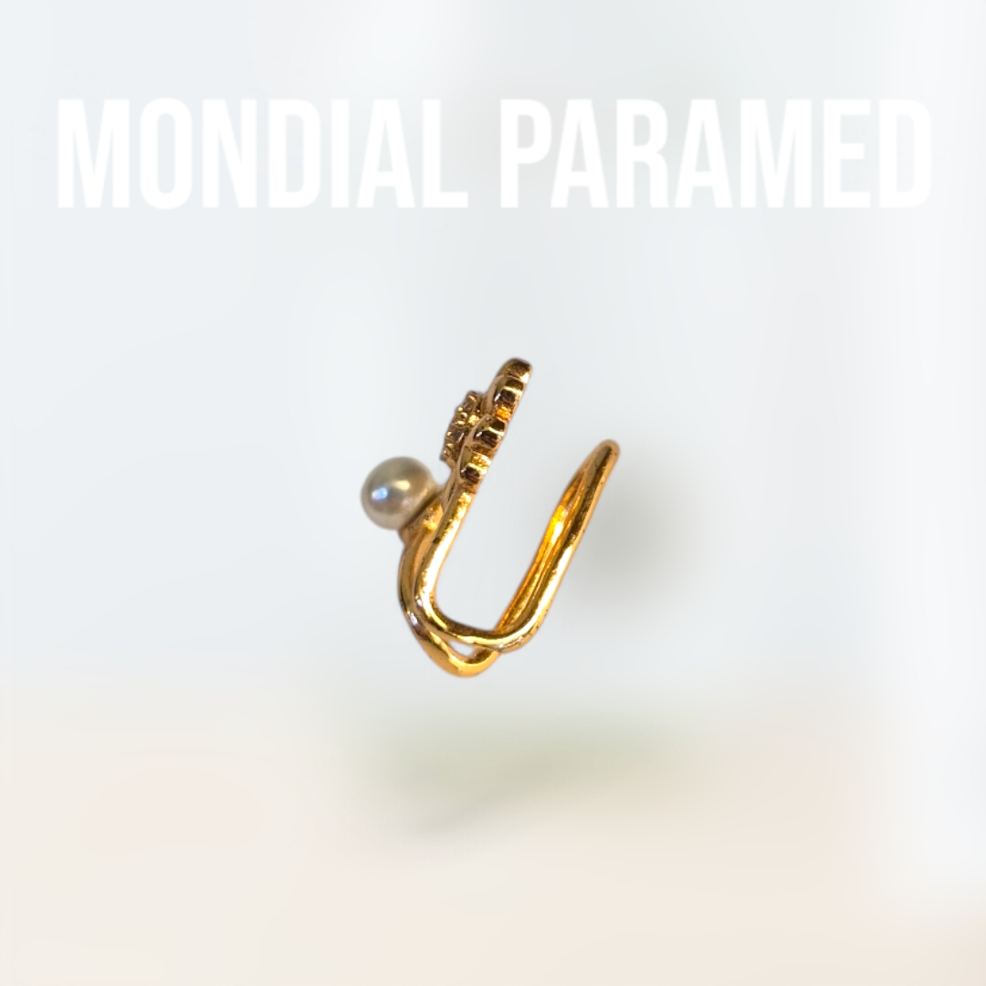 Boucle d'Oreilles #93