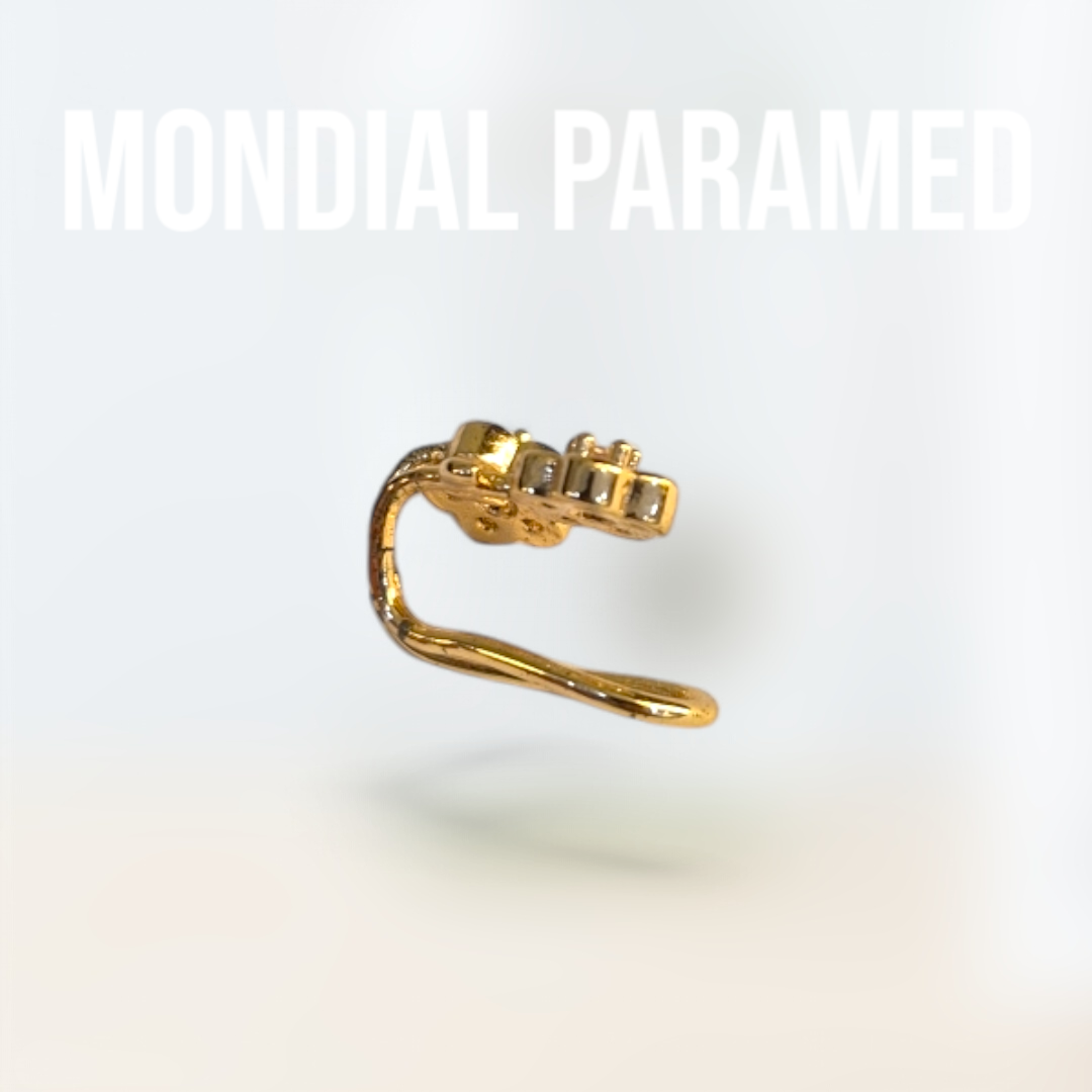 Boucle d'Oreilles #94
