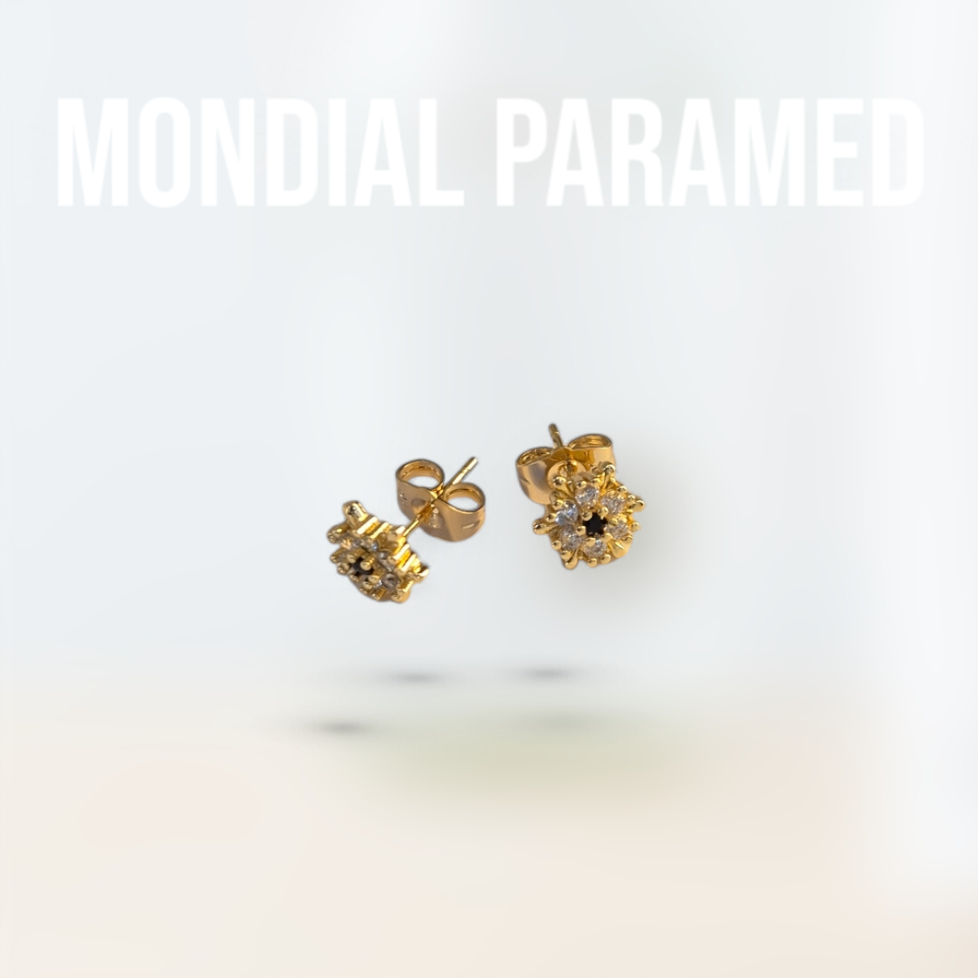Boucle d'Oreilles #111