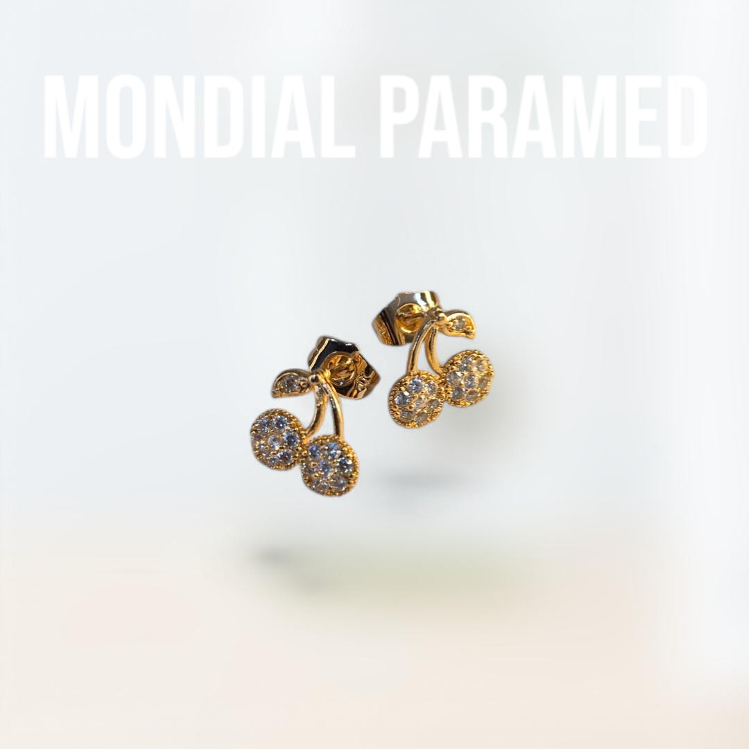 Boucle d'Oreilles #112