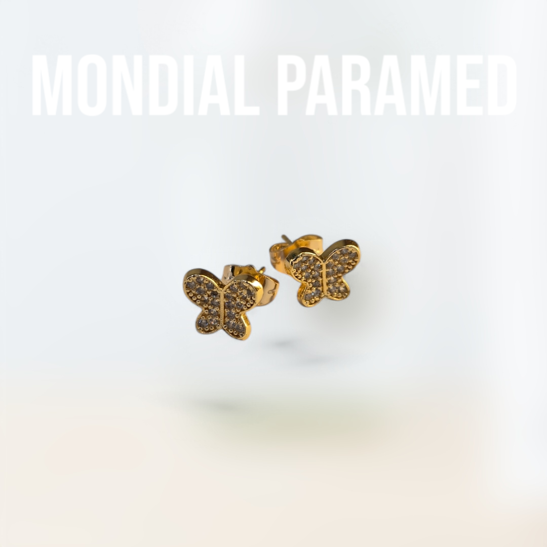Boucle d'Oreilles #113