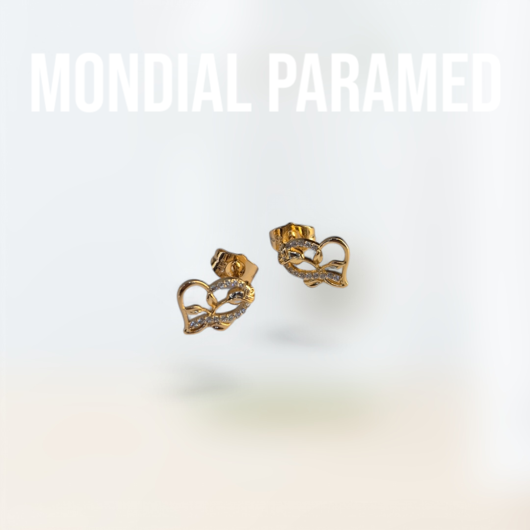 Boucle d'Oreilles #114