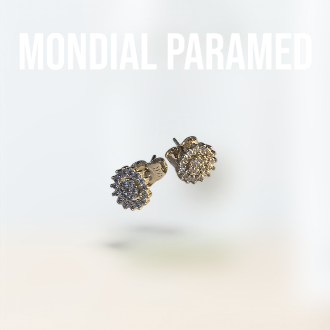 Boucle d'Oreilles #115