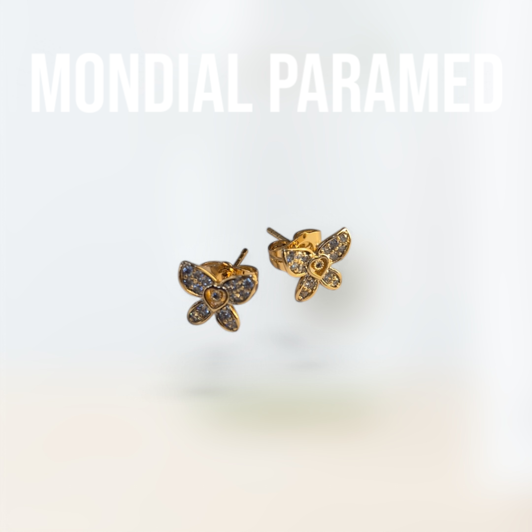 Boucle d'Oreilles #116
