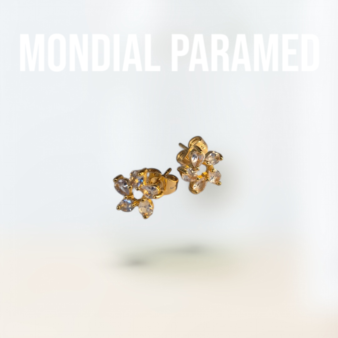 Boucle d'Oreilles #117