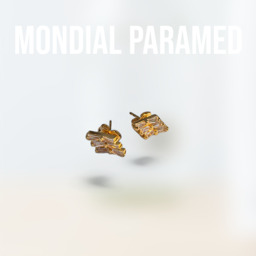 Boucle d'Oreilles #121