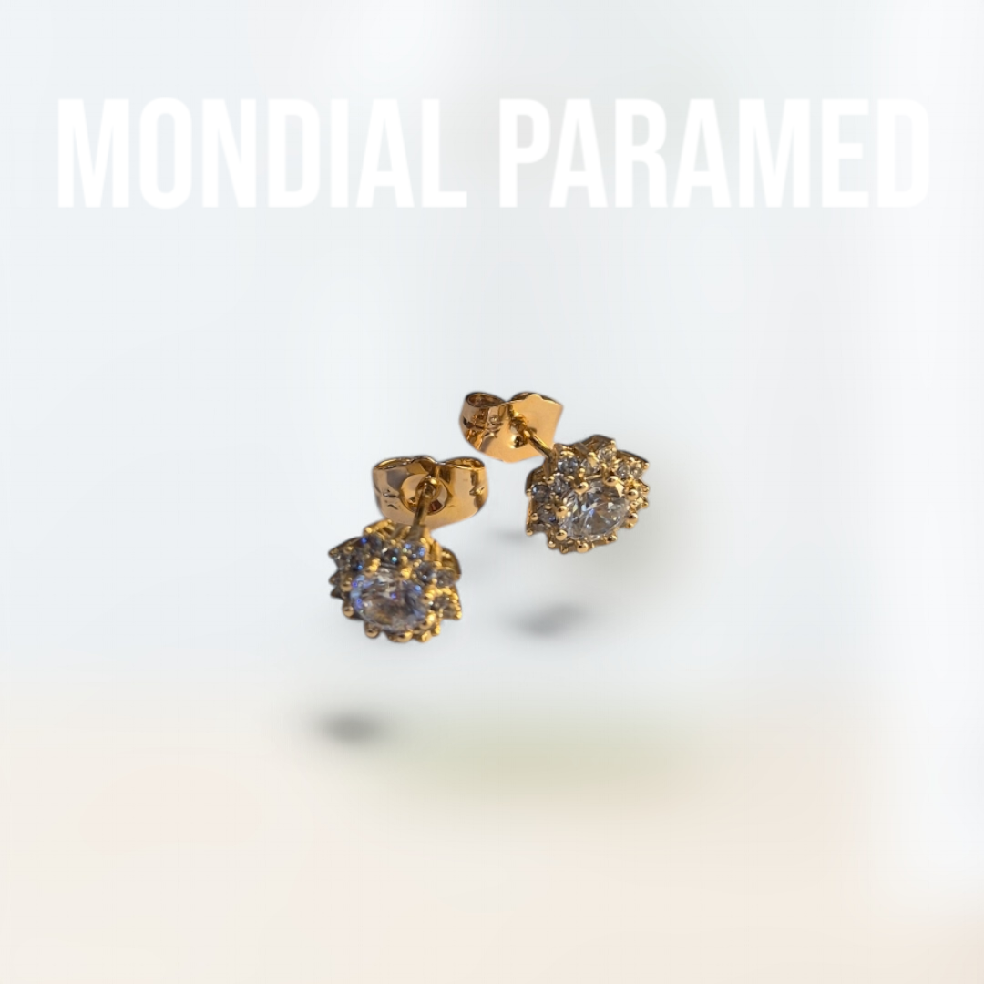 Boucle d'Oreilles #125