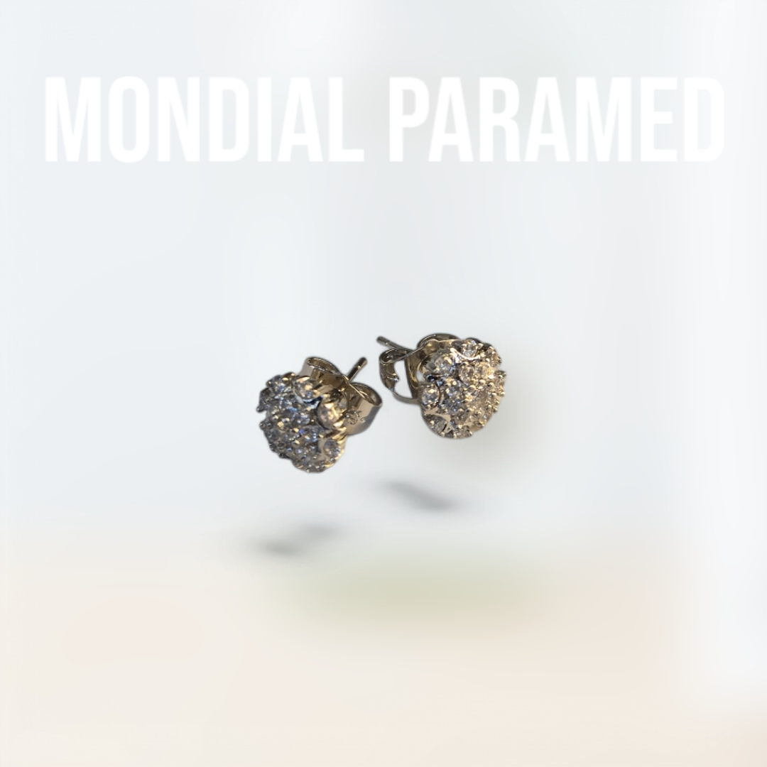Boucle d'Oreilles #104