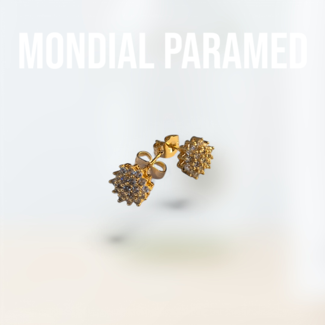 Boucle d'Oreilles #106