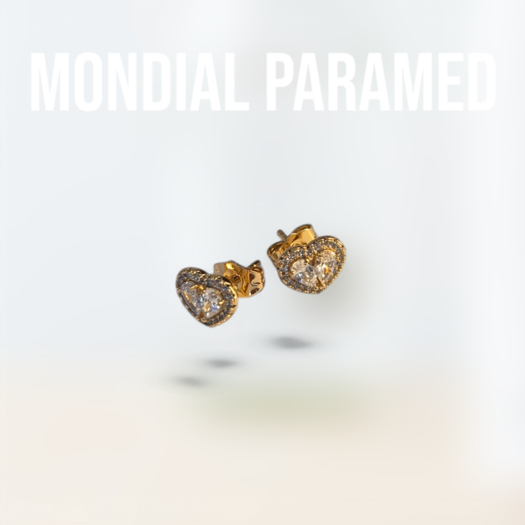 Boucle d'Oreilles #108