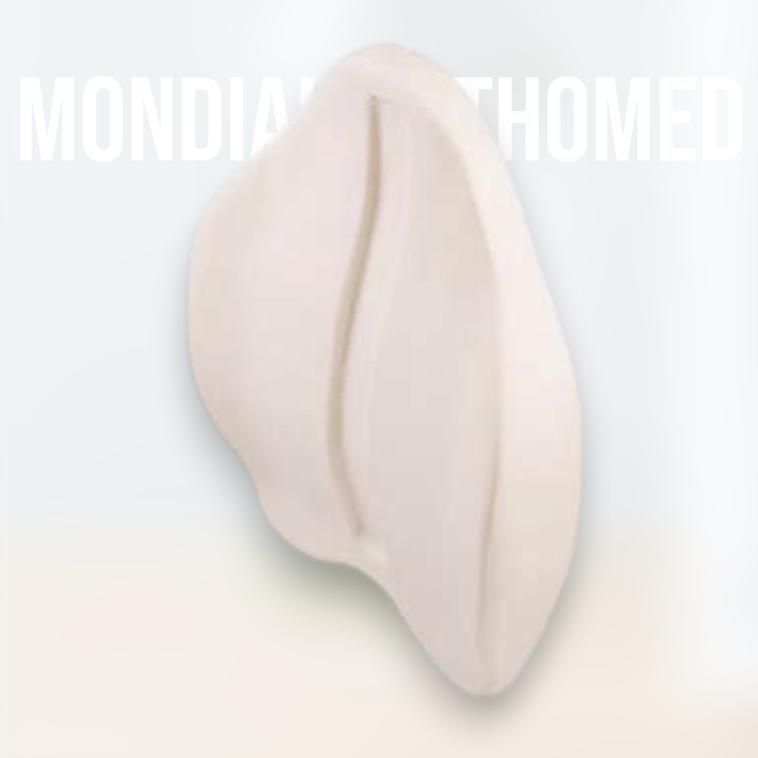 Coussin Lombaire Ergonomique (Mousse à Mémoire)