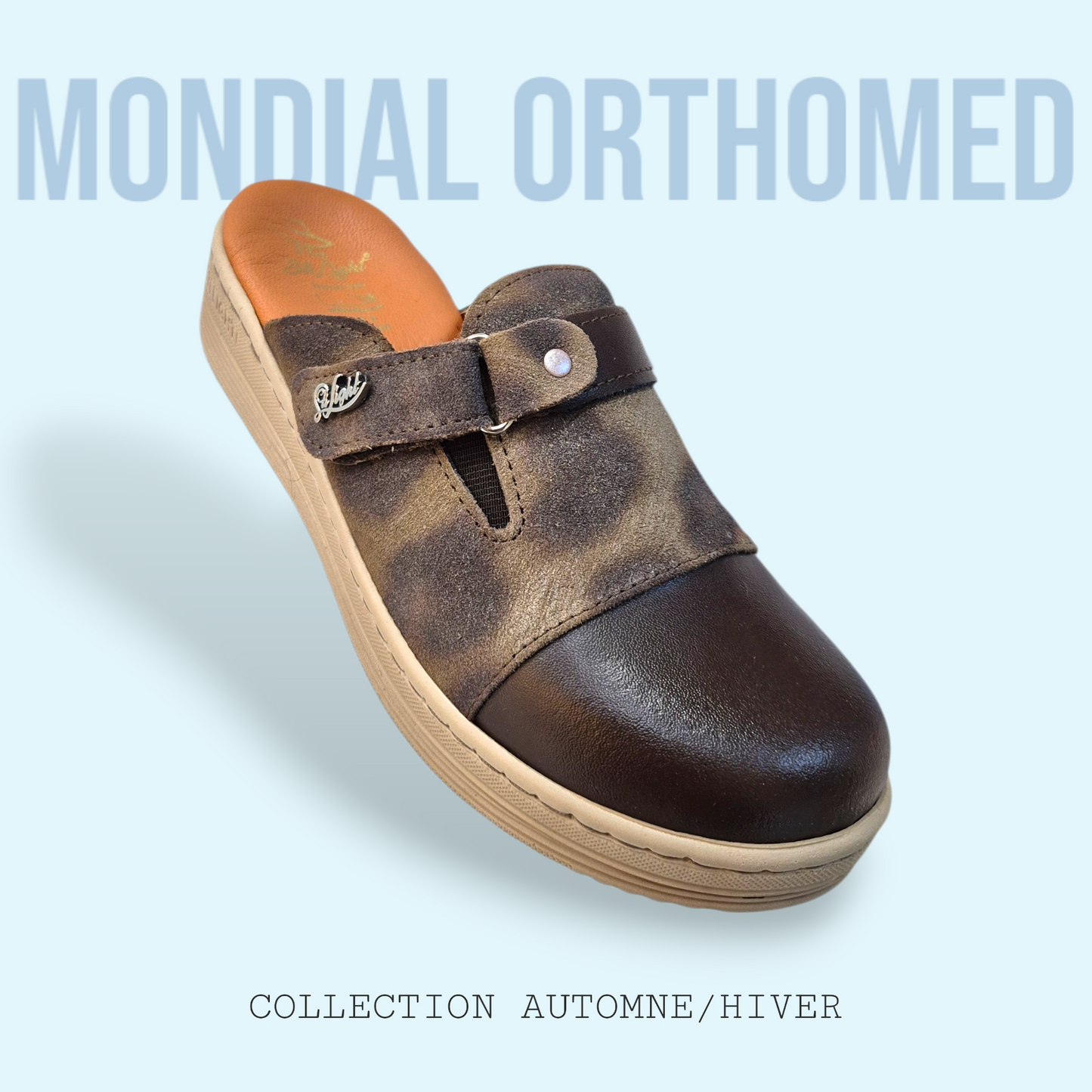 Sabot Femme Marron STI FS08