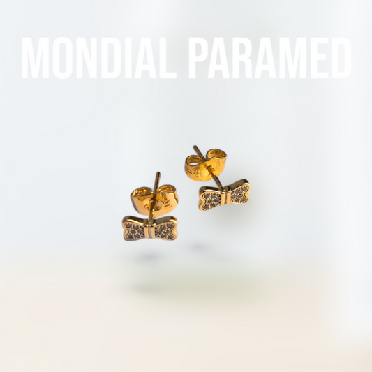 Boucle d'Oreilles #10
