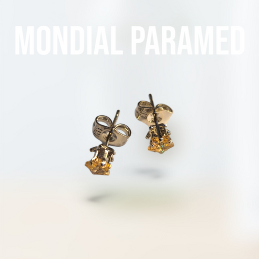 Boucle d'Oreilles #13