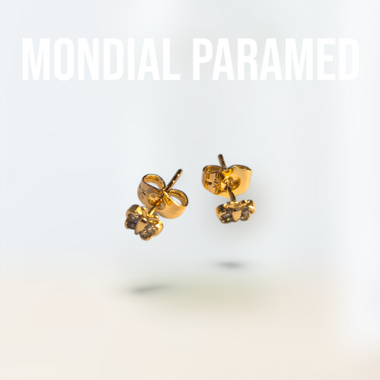 Boucle d'Oreilles #14