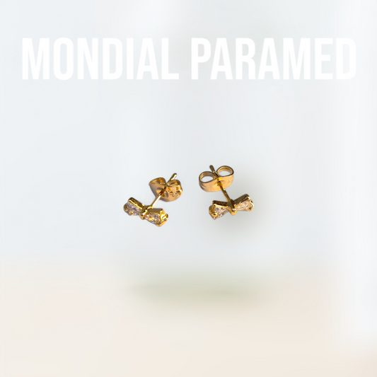 Boucle d'Oreilles #15
