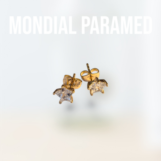 Boucle d'Oreilles #16