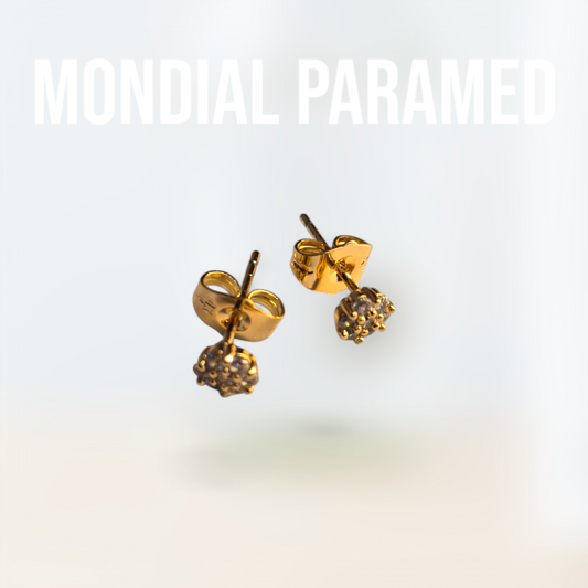 Boucle d'Oreilles #17