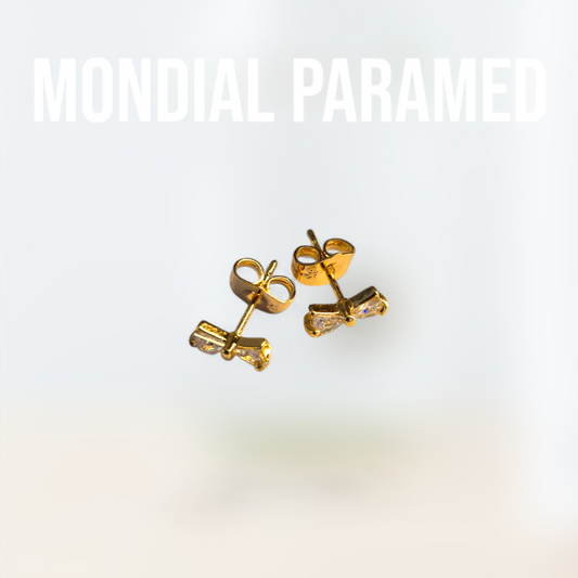 Boucle d'Oreilles #18