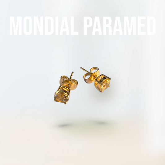 Boucle d'Oreilles #19