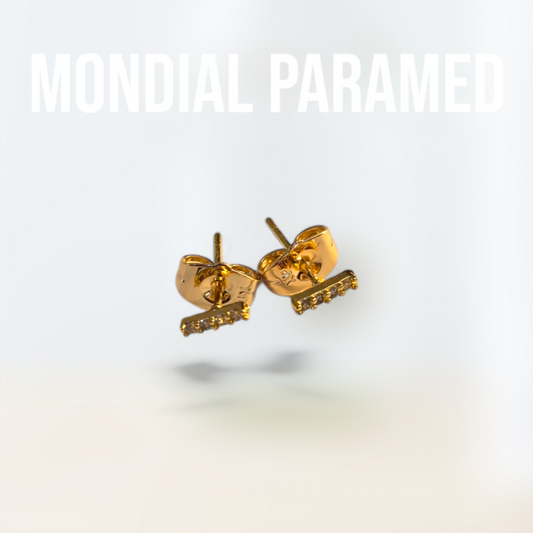 Boucle d'Oreilles #02