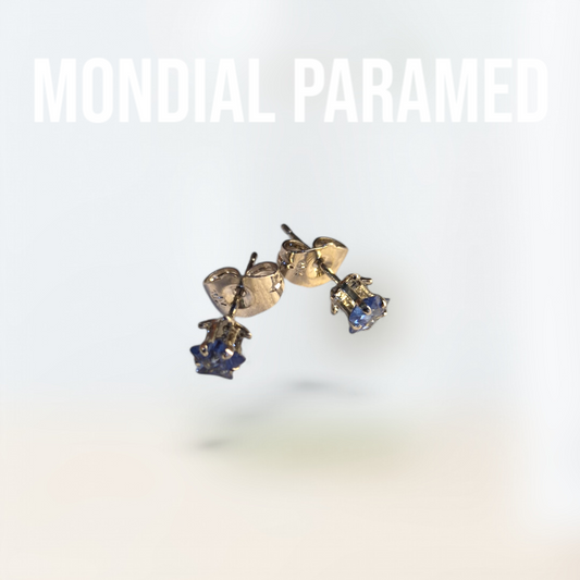 Boucle d'Oreilles #20