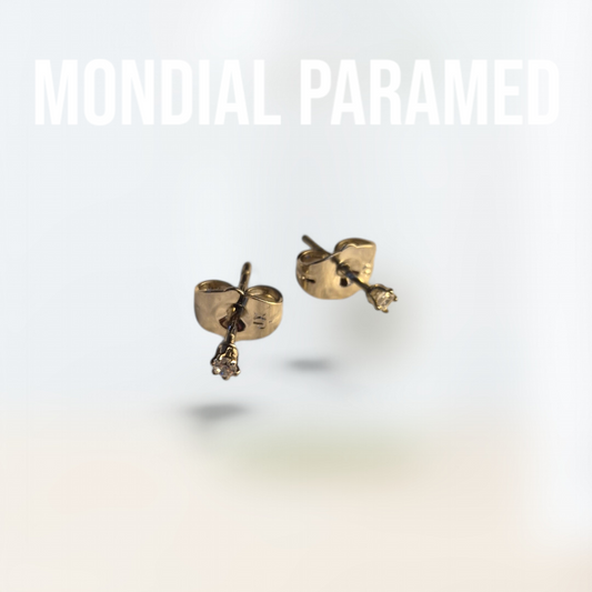 Boucle d'Oreilles #23