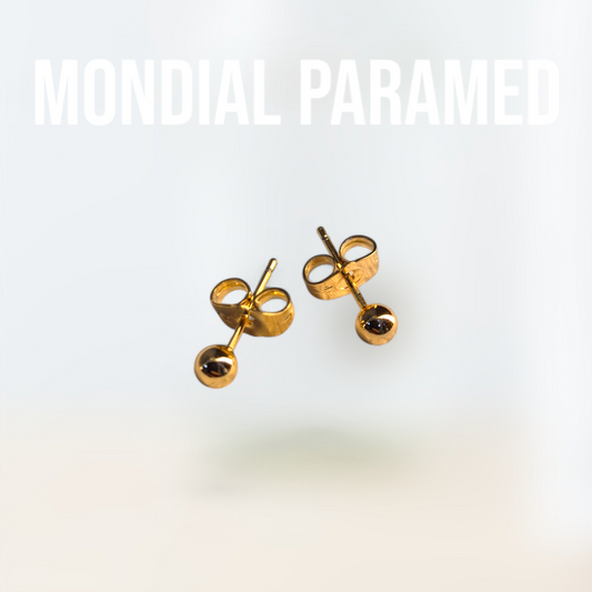 Boucle d'Oreilles #25