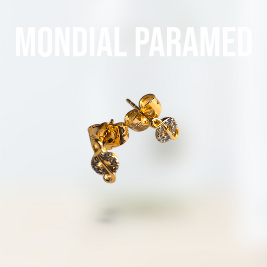 Boucle d'Oreilles #26