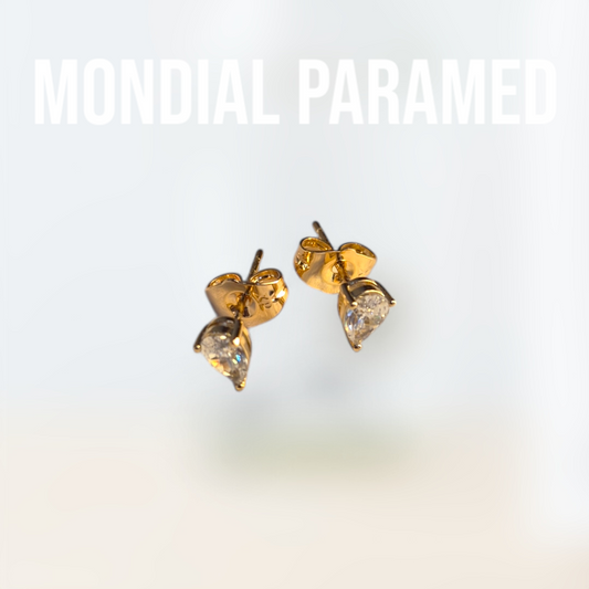 Boucle d'Oreilles #27