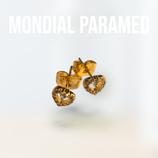 Boucle d'Oreilles #29
