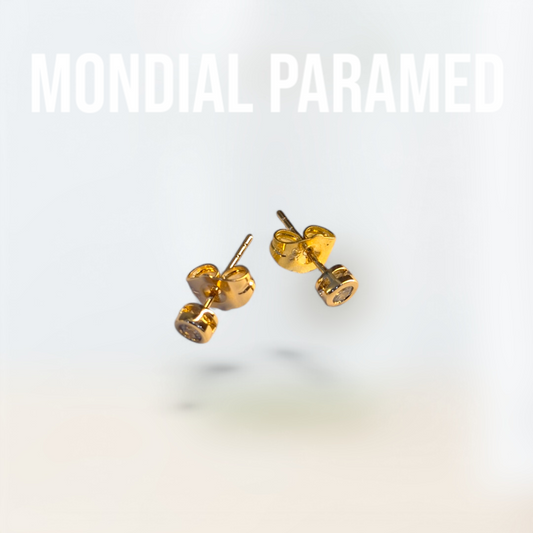 Boucle d'Oreilles #03