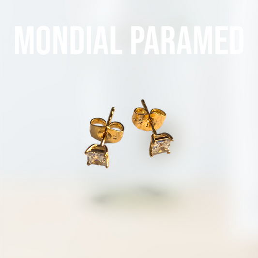 Boucle d'Oreilles #30