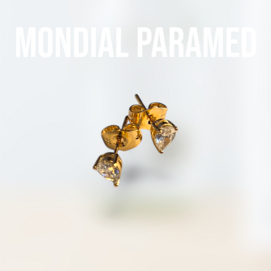 Boucle d'Oreilles #31