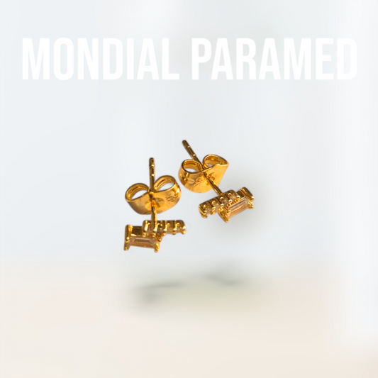 Boucle d'Oreilles #33