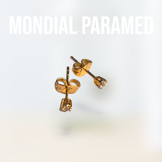 Boucle d'Oreilles #35