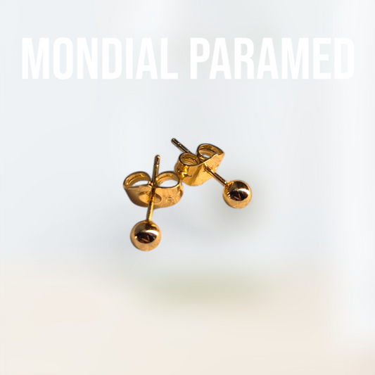 Boucle d'Oreilles #36