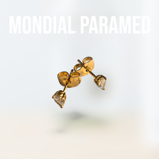 Boucle d'Oreilles #38