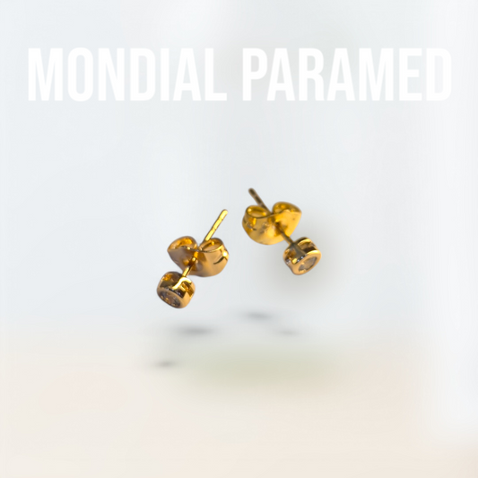 Boucle d'Oreilles #04