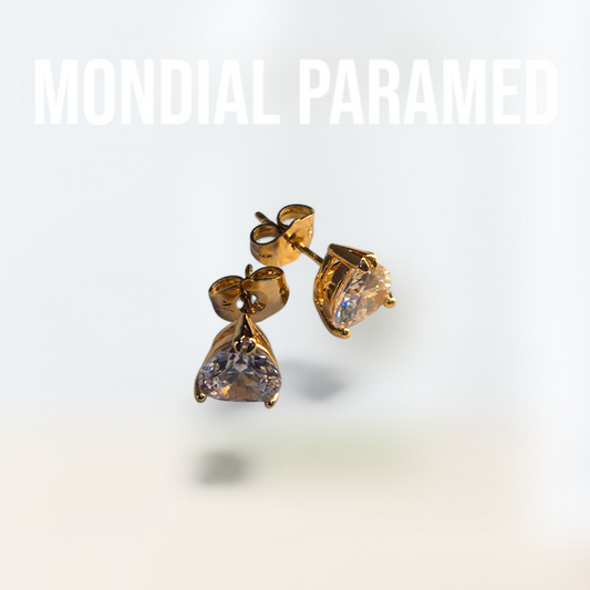 Boucle d'Oreilles #41