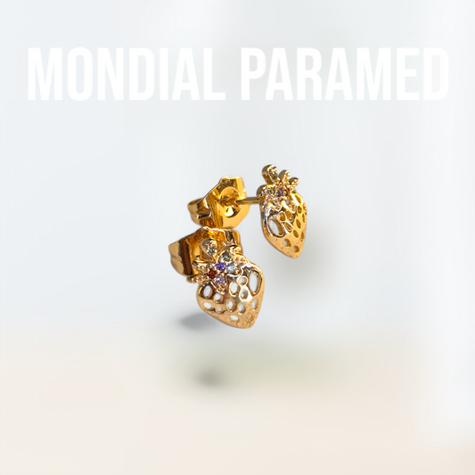 Boucle d'Oreilles #45