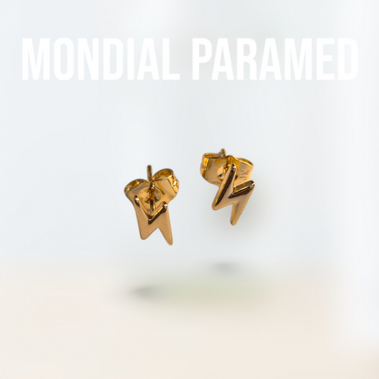 Boucle d'Oreilles #06